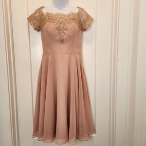 JJ's House Dusty Rose Lace Chiffon A-Line Dress 4 Romantic Coquette Bridesmaid